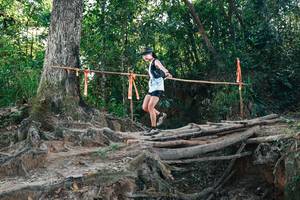 BIB: 
                            <button type="button" onclick="openModal(27753718)" class="btn btn-primary btn-sm float-right btn-popup" data-toggle="modal" data-target=".modal-high-quality">
                        <i class="fas fa-shopping-cart"></i> Add to Cart
                    </button>
                                            <button type="button" onclick="isThisMe(27753718, true)" class="btn btn-success btn-sm float-right btn-popup btn-isme hidden" data-toggle="tooltip" data-placement="bottom" title="นี่คือรูปของคุณใช่ไหม คลิกที่นี่เพื่อเอาเข้าอัลบั้ม">
                        <i class="fas fa-plus"></i> Add to album
                    </button>
                    <button type="button" onclick="isThisMe(27753718, false)" class="btn btn-warning btn-sm float-right btn-popup btn-isnotme hidden">
                        <i class="fas fa-ban"></i> Remove from album
                    </button>